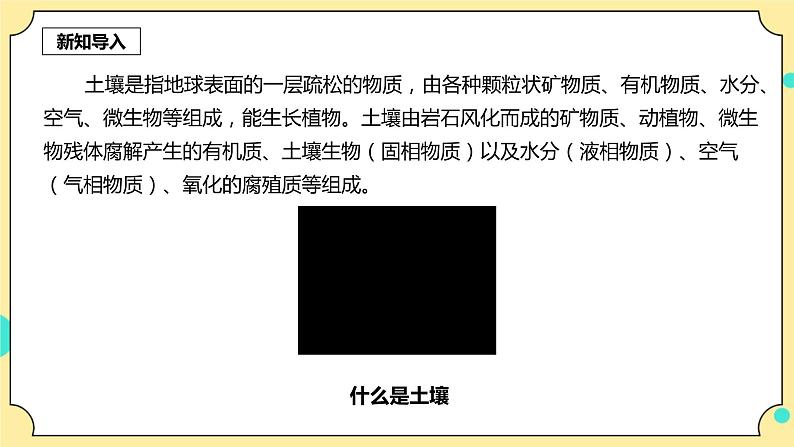 3.8《岩石、土壤和我们》课件+教案+试题（含解析）+素材 教科版（2017）四年级科学下册03