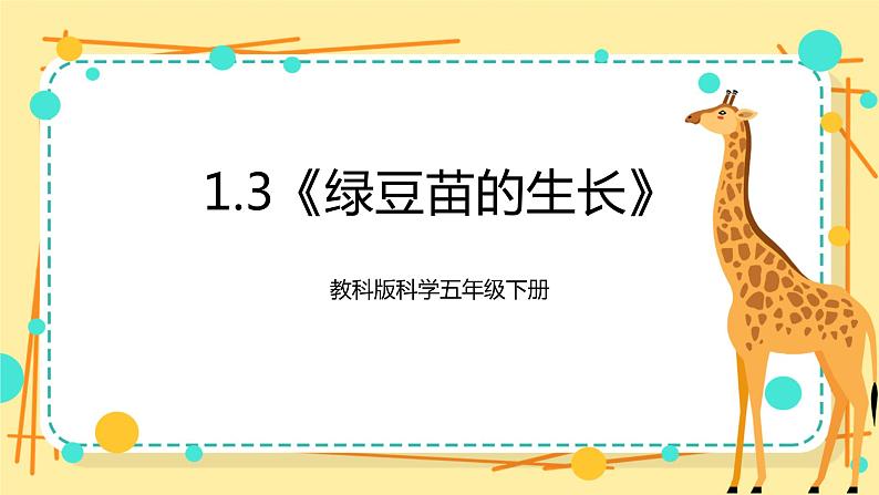 1.3《绿豆苗的生长》课件+素材 教科版五年级科学下册（送教案练习）01