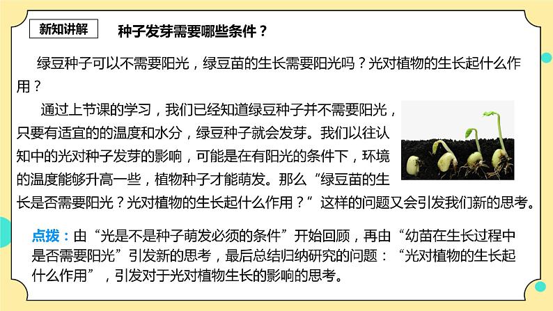 1.3《绿豆苗的生长》课件+素材 教科版五年级科学下册（送教案练习）04