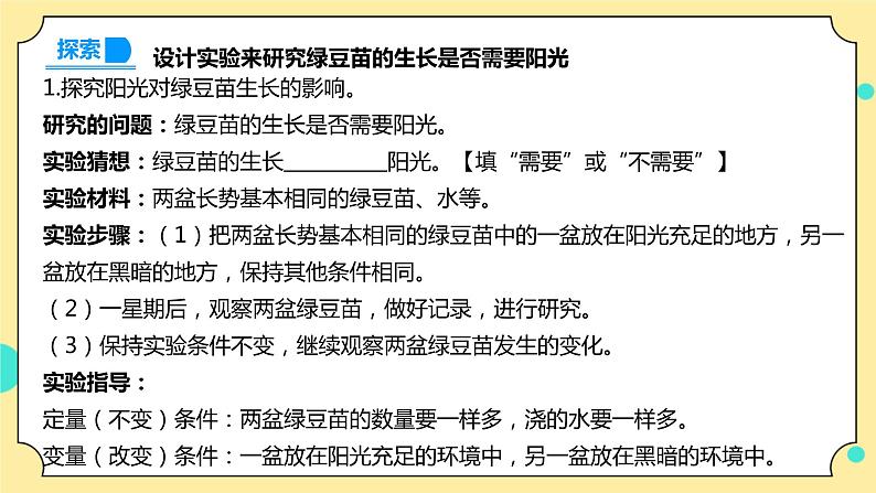 1.3《绿豆苗的生长》课件+素材 教科版五年级科学下册（送教案练习）05