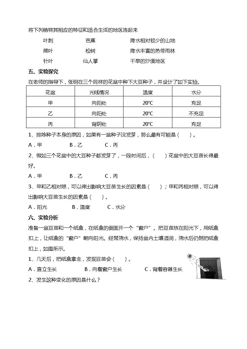 1.3《绿豆苗的生长》课件+素材 教科版五年级科学下册（送教案练习）02