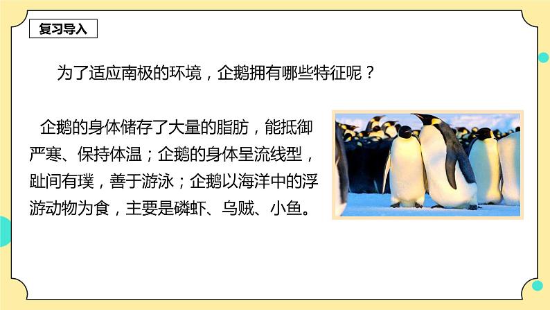 1.5《当环境改变了》课件+素材 教科版五年级科学下册（送教案练习）03