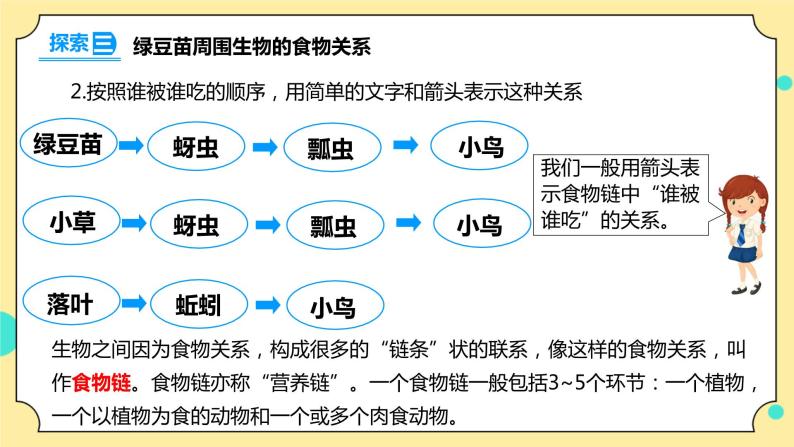 1.6《食物链和食物网》课件+素材 教科版五年级科学下册（送教案练习）08