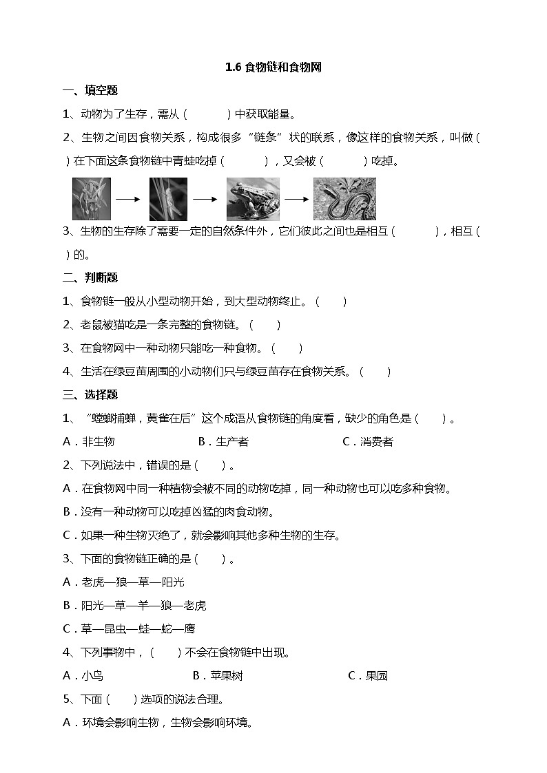 1.6《食物链和食物网》课件+素材 教科版五年级科学下册（送教案练习）01