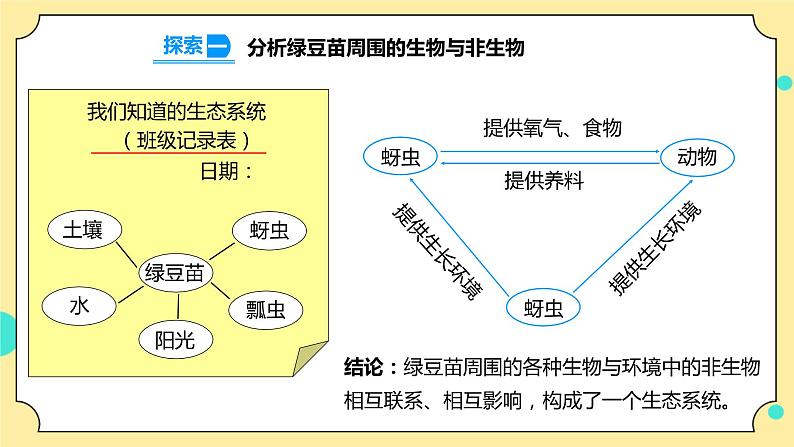 1.7《设计和制作生态瓶》课件+素材 教科版五年级科学下册（送教案练习）06