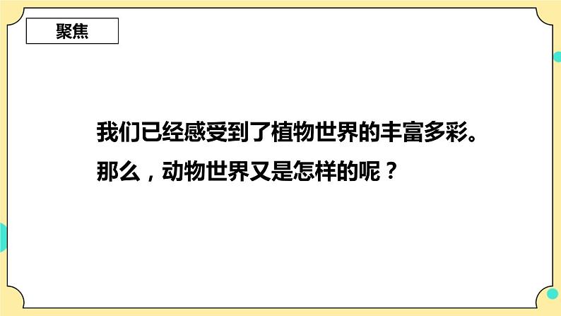 2.4《多种多样的动物》课件 教科版六年级科学下册第3页