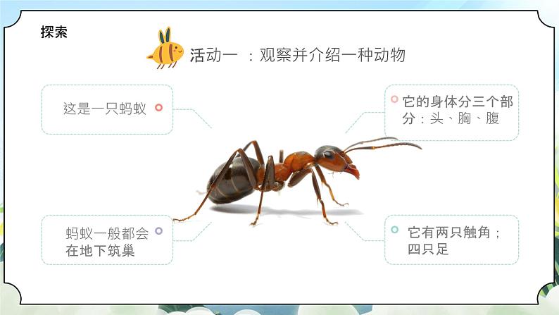 2.1《我们知道的动物》课件+素材 教科版一年级科学下册（送教案练习）06
