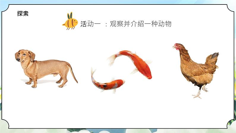 2.1《我们知道的动物》课件+素材 教科版一年级科学下册（送教案练习）07