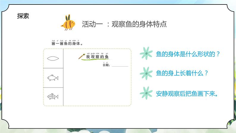 2.5《观察鱼》课件+素材 教科版一年级科学下册（送教案练习）08