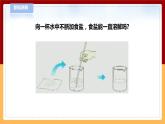 【青島版六三制】三下科學(xué) 2.5《誰(shuí)在水中溶解得多》（課件+教案+練習(xí)+素材）