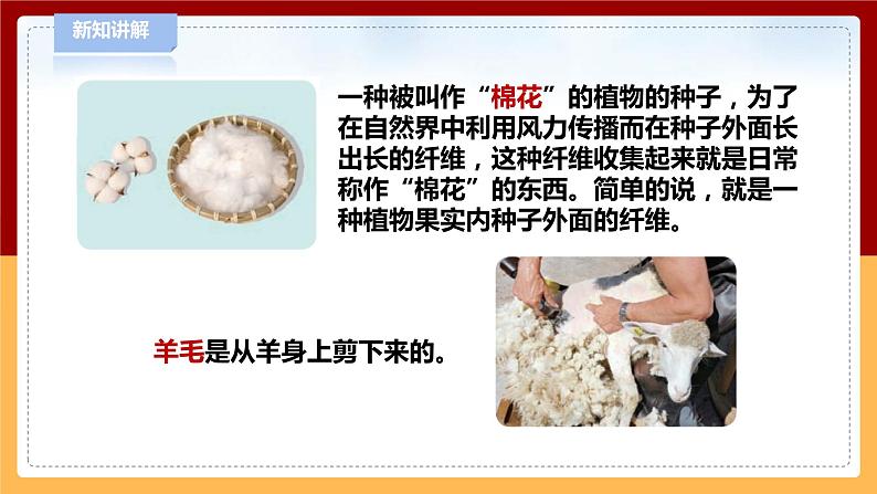 3.10《天然材料和人造材料》课件第6页