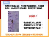 【青岛版六三制】三下科学 4.11《植物的花》（课件+教案+练习）