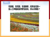【青岛版六三制】三下科学 4.11《植物的花》（课件+教案+练习）