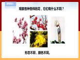 【青岛版六三制】三下科学 4.11《植物的花》（课件+教案+练习）