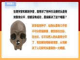 【青島版六三制】三下科學(xué) 4.13《種子發(fā)芽了》（課件+教案+練習(xí)+素材）
