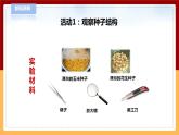 【青島版六三制】三下科學(xué) 4.13《種子發(fā)芽了》（課件+教案+練習(xí)+素材）