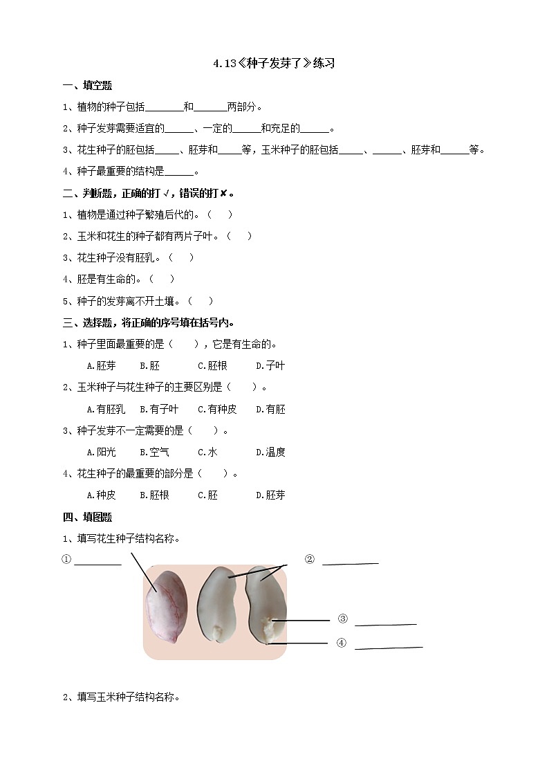 【青岛版六三制】三下科学 4.13《种子发芽了》（课件+教案+练习+素材）01