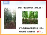 【青岛版六三制】三下科学 4.14《植物的“分身术”》（课件+教案+练习+素材）