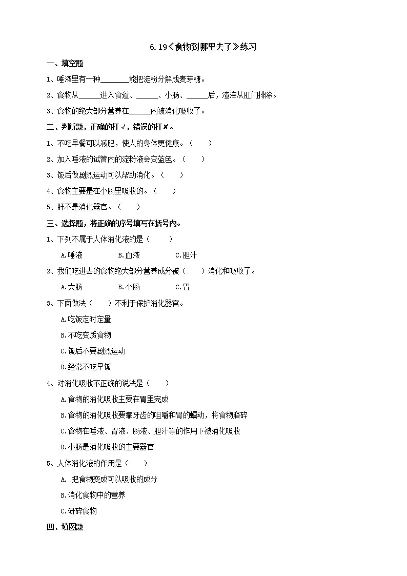【青岛版六三制】三下科学 6.19《食物到哪里去了》（课件+教案+练习+素材）01