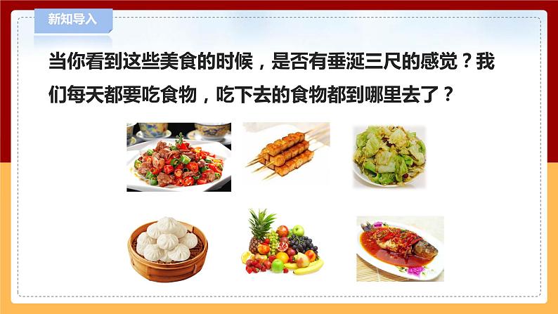 【青岛版六三制】三下科学 6.19《食物到哪里去了》（课件+教案+练习+素材）02