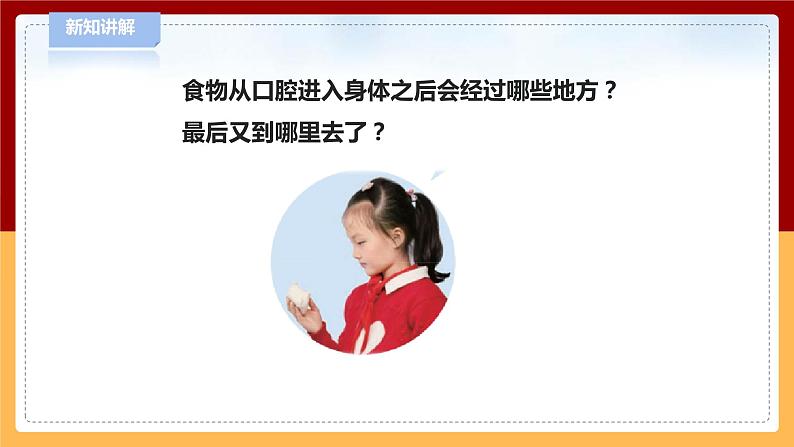 【青岛版六三制】三下科学 6.19《食物到哪里去了》（课件+教案+练习+素材）04