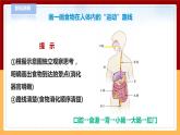 【青岛版六三制】三下科学 6.19《食物到哪里去了》（课件+教案+练习+素材）