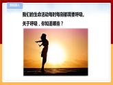 【青岛版六三制】三下科学 6.20《我们的呼吸》（课件+教案+练习）