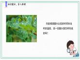 4.水遇冷以后 課件+練習(xí)題課件+素材