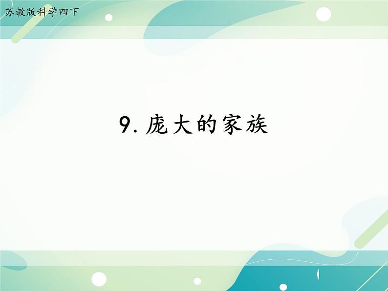 9.庞大的家族 课件+课件练习+素材01