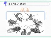 9.庞大的家族 课件+课件练习+素材