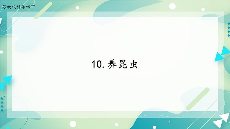 10.养昆虫（3课时）课件+课件练习+素材01