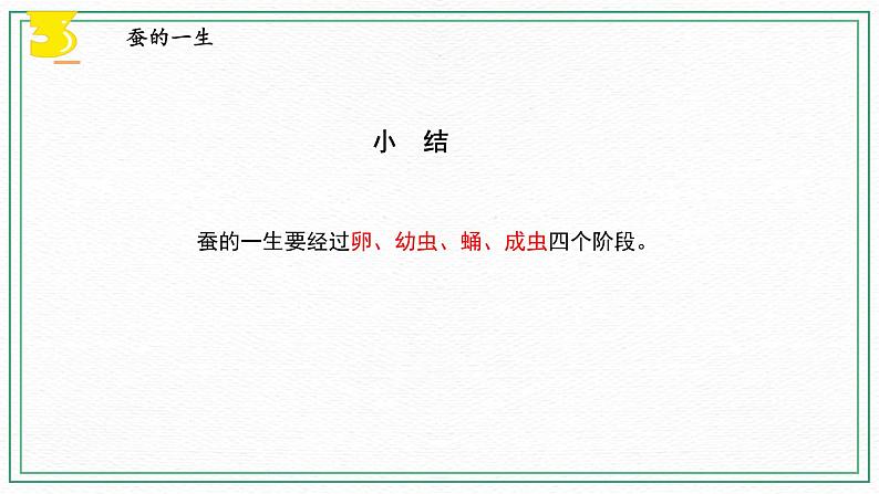 10.养昆虫（3课时）课件+课件练习+素材08