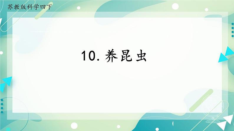 10.养昆虫（3课时）课件+课件练习+素材01