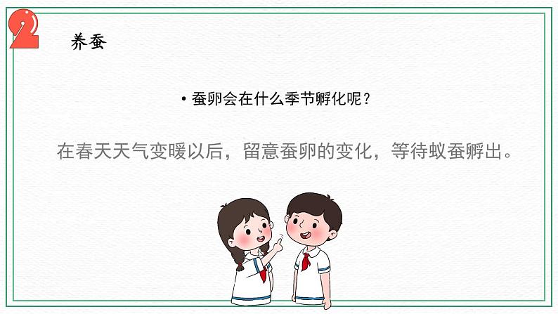 10.养昆虫（3课时）课件+课件练习+素材03