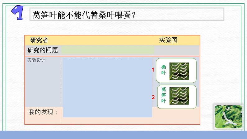 11.探究昆虫的奥秘 素材+课件07