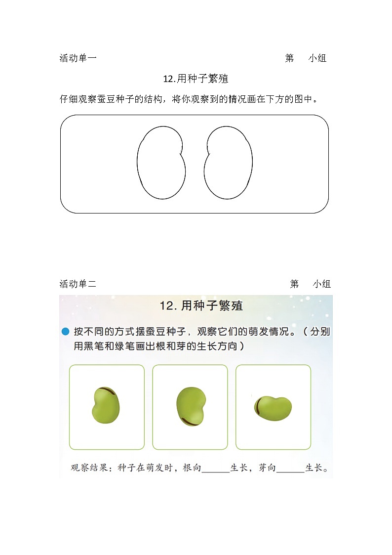 12.用种子繁殖 素材+课件01