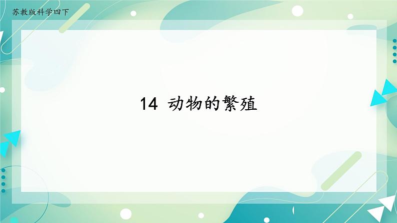 14 动物的繁殖 教案+课件01