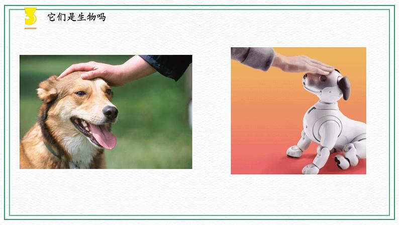 15.生物与非生物 课件+课件练习+素材06