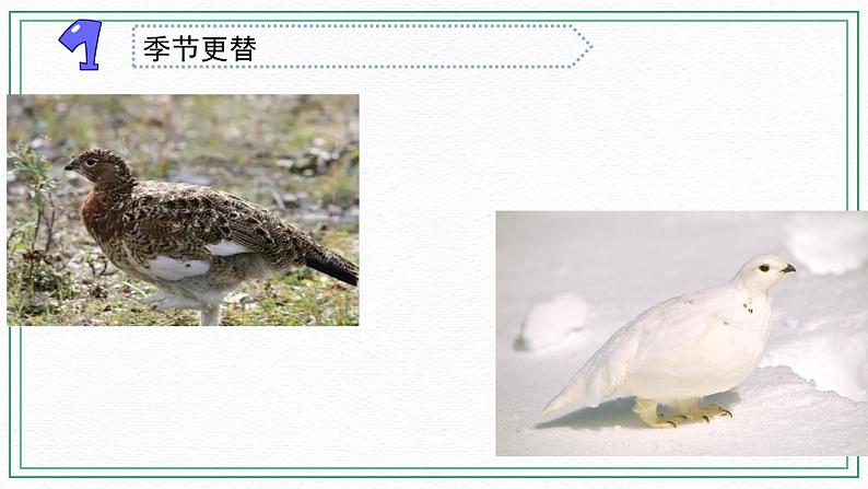 17.环境改变以后第2页
