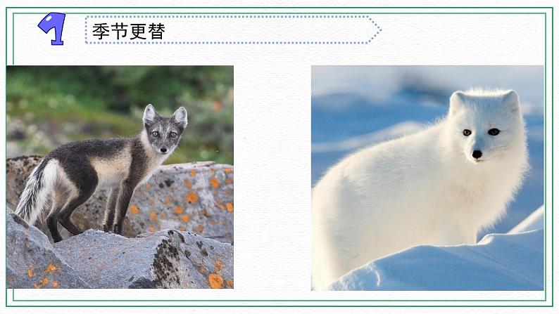 17.环境改变以后第3页