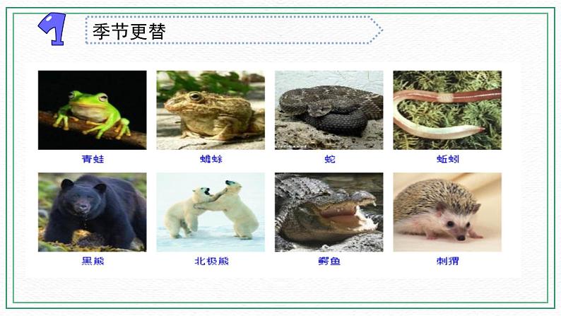 17.环境改变以后第5页