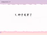 1 種子發(fā)芽了 （課件+教案+圖片素材+視頻）