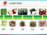 1 種子發(fā)芽了 （課件+教案+圖片素材+視頻）