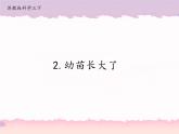 2 幼苗长大了第一课时（课件+教案）