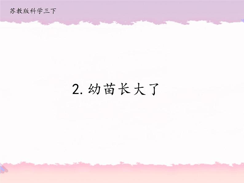 2020新苏教版三年级下册《科学》2.幼苗长大了ppt课件（附教案；第一课时）第1页