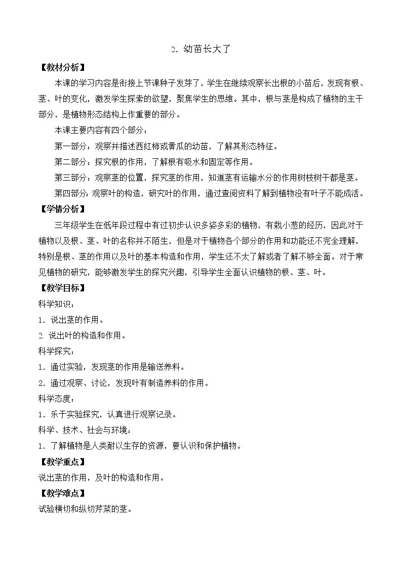 2 幼苗长大了第二课时（课件+教案+视频）01