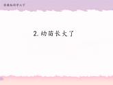 2 幼苗长大了第二课时（课件+教案+视频）