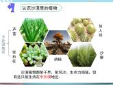 6.沙漠中的植物（课件+教案+记录单+视频）