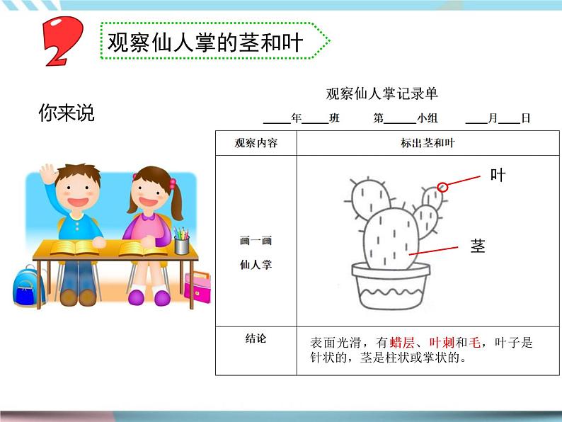 6.沙漠中的植物（课件+教案+记录单+视频）08