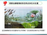 7.水里的植物（课件+教案+视频）